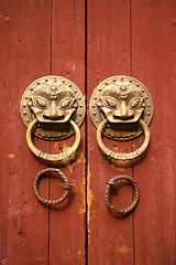 Image showing Double lion knobs on an old wooden gate