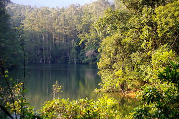 Image showing Autumn forest in Hong Kong