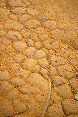 Image showing Dried land