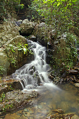 Image showing Water stream in forest