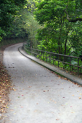 Image showing Path in a park