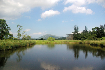 Image showing Wetland pond in Hong Kong