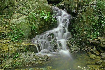 Image showing Waterfall in forest