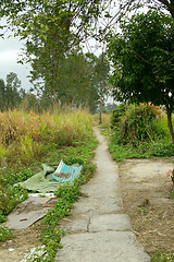 Image showing Path in a park