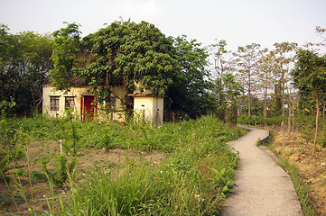 Image showing Path in village of Hong Kong