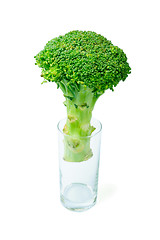 Image showing Broccoli in a glass isolated on white background