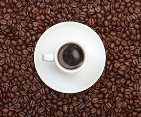 Image showing Cup with Hot Coffee on Coffee Beans