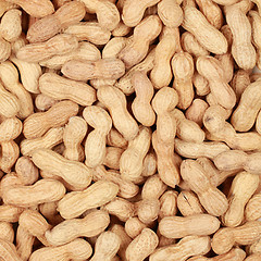 Image showing Peanuts