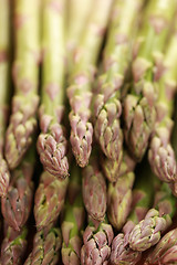 Image showing Fresh green Asparagus