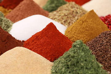 Image showing Spices and herbs