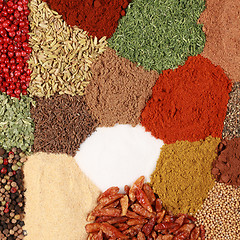 Image showing Colorful Spices