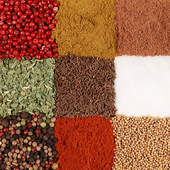 Image showing Colorful Spices