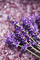 Image showing lavender bath salt