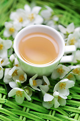 Image showing jasmin tea