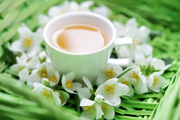 Image showing jasmin tea