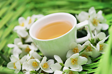 Image showing jasmin tea