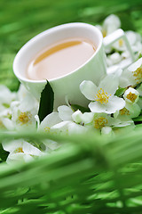 Image showing jasmin tea