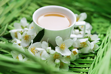 Image showing jasmin tea