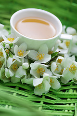 Image showing jasmin tea