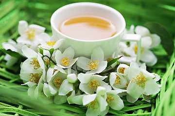 Image showing jasmin tea