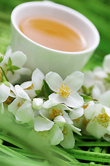 Image showing jasmin tea