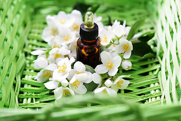 Image showing jasmin essential oil