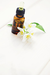 Image showing jasmin essential oil