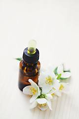 Image showing jasmin essential oil