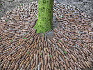 Image showing Artistic circle of cones