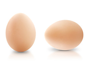 Image showing Egg