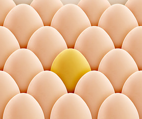 Image showing Golden egg