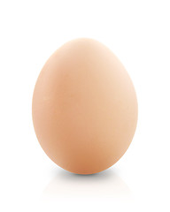 Image showing Egg