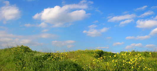 Image showing Background Of Sky And Grass