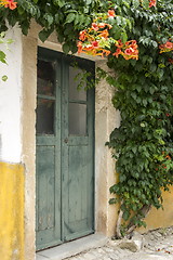 Image showing Old door