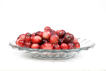 Image showing Cranberry