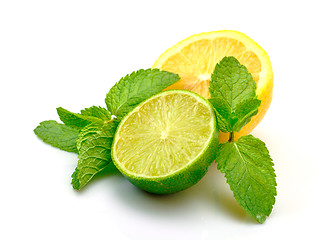 Image showing Fresh Lemon, Lime and Mint