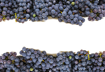 Image showing Grape fraame