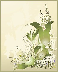 Image showing Greeting card with a wild flower and a grass. Illustration wild flower and wild grass.