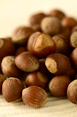 Image showing hazelnuts 