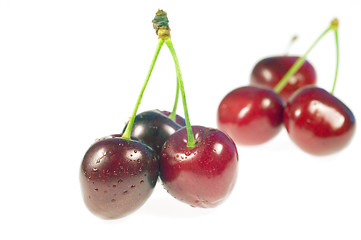 Image showing Cherry