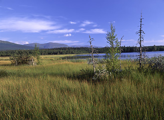 Image showing Nature Landscape