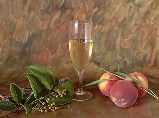 Image showing Wine and Fruits