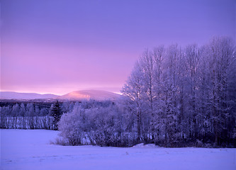 Image showing winter landscape