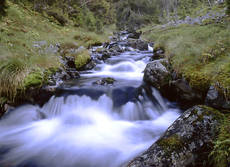Image showing Mountain Stream