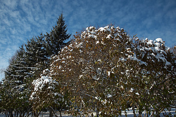 Image showing Winter landscape