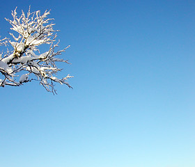 Image showing Winter sky