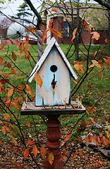 Image showing Bird box