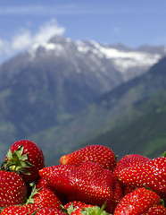 Image showing Alpine Freshness