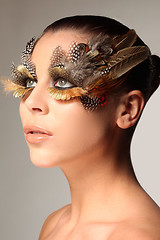 Image showing Decorative feather make-up like the wing of a bird