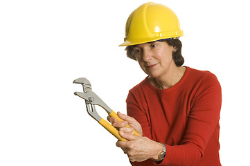 Image showing woman with tools